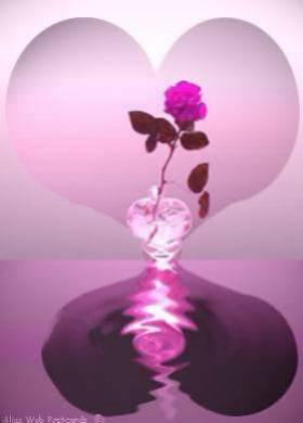 mon coeur
