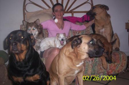 mes chiens